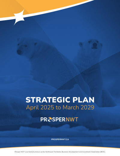 Strategic Plan - April 2025 to March 2029